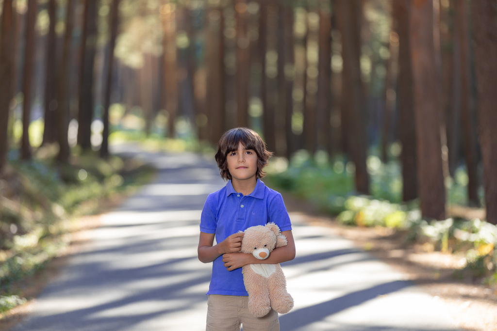 Niño en un camino en el bosque con osito de peluche