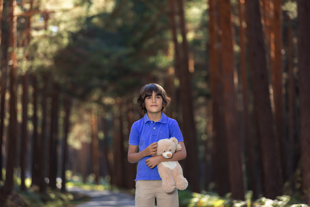 Niño con jersey azul y osito de peluche en el bosque.